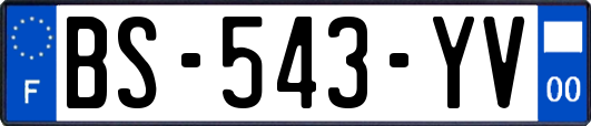 BS-543-YV