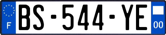 BS-544-YE