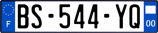 BS-544-YQ