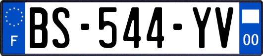 BS-544-YV