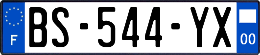 BS-544-YX