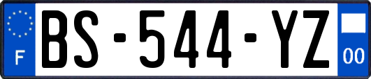 BS-544-YZ