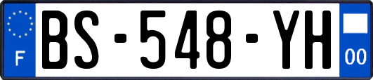 BS-548-YH