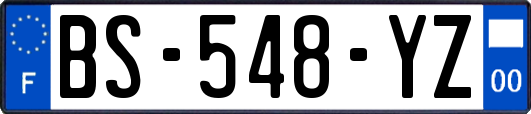 BS-548-YZ