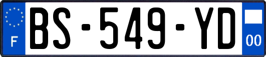 BS-549-YD