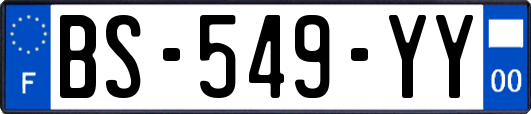 BS-549-YY