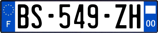 BS-549-ZH