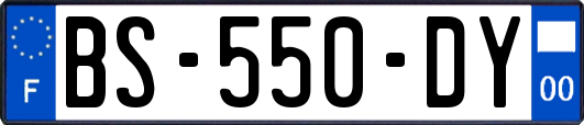 BS-550-DY