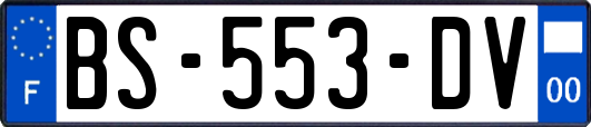 BS-553-DV