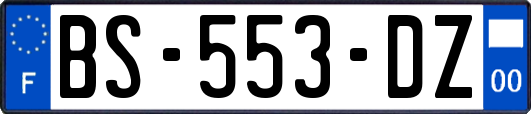 BS-553-DZ