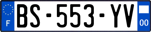 BS-553-YV