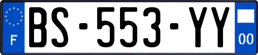 BS-553-YY