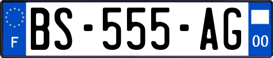 BS-555-AG