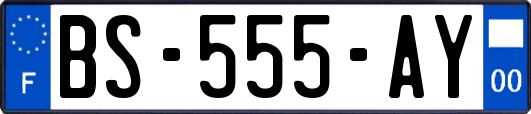 BS-555-AY