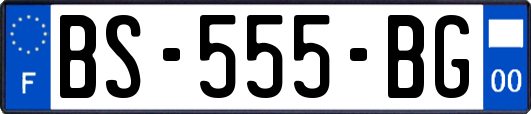 BS-555-BG