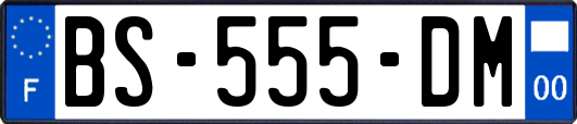 BS-555-DM