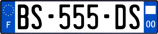 BS-555-DS