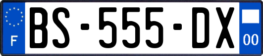 BS-555-DX