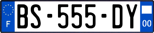 BS-555-DY