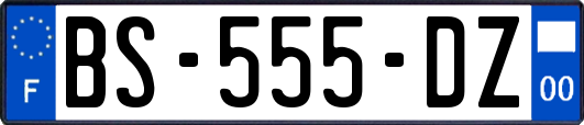 BS-555-DZ