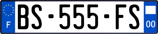 BS-555-FS