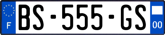 BS-555-GS