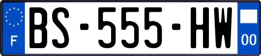 BS-555-HW