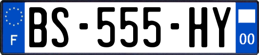 BS-555-HY