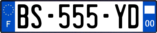 BS-555-YD
