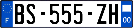 BS-555-ZH