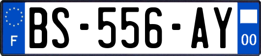 BS-556-AY