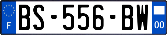 BS-556-BW