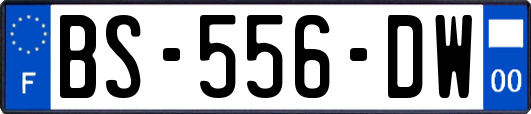 BS-556-DW