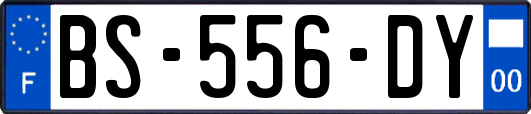 BS-556-DY