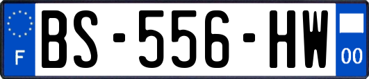 BS-556-HW