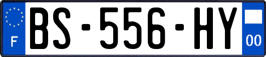 BS-556-HY