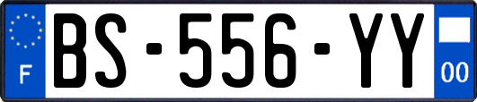 BS-556-YY