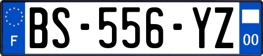 BS-556-YZ