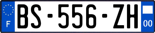 BS-556-ZH