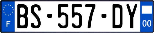 BS-557-DY