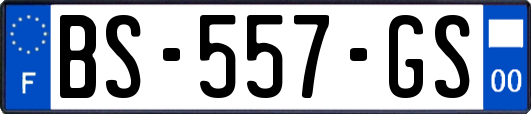 BS-557-GS