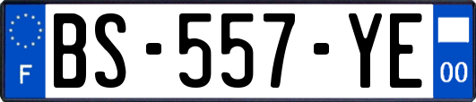 BS-557-YE