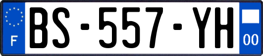 BS-557-YH