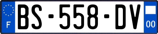 BS-558-DV