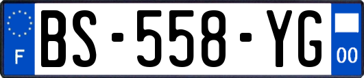 BS-558-YG