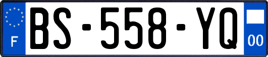 BS-558-YQ
