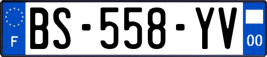 BS-558-YV