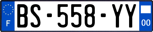 BS-558-YY