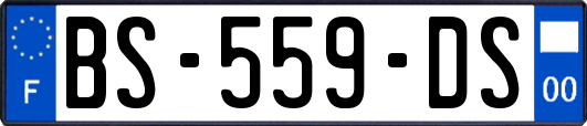 BS-559-DS