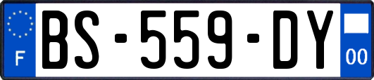 BS-559-DY